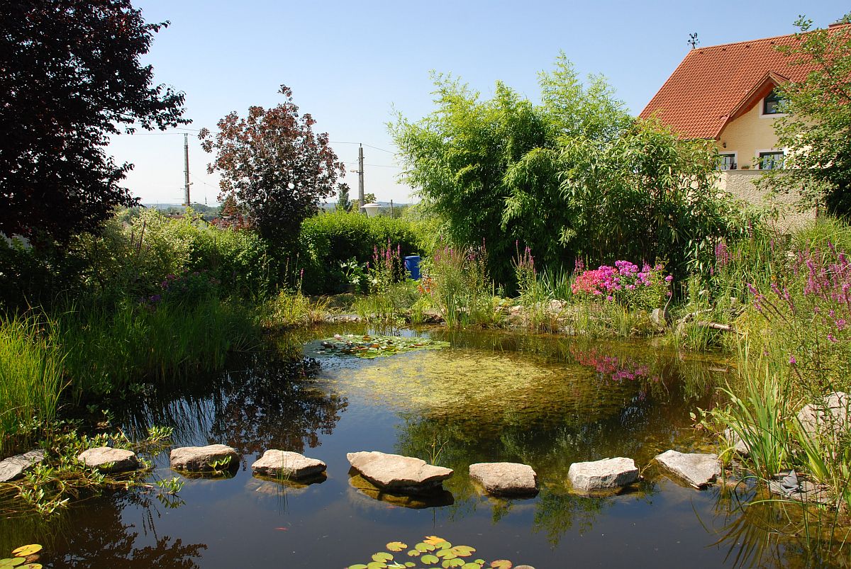 Gartenteiche Beschatten: Methoden und Tipps für gesunde Wasserwelten